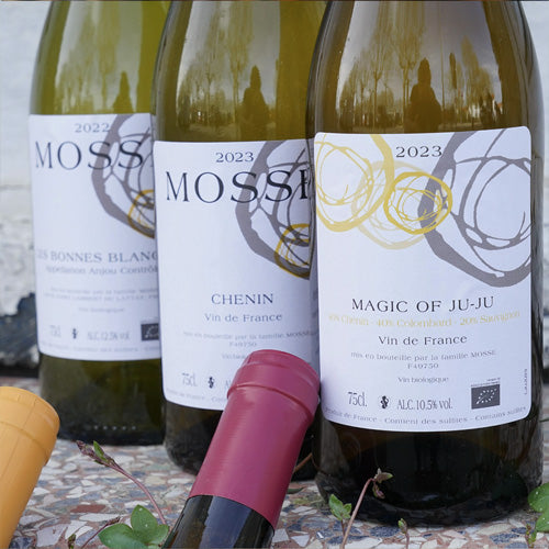 Chenin 2023 - Domaine Mosse