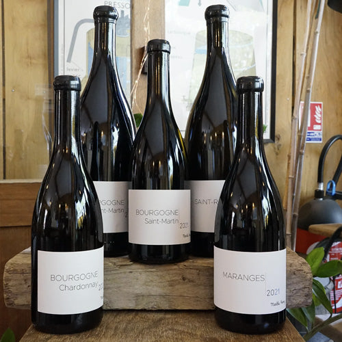 Burgundy Saint Martin 2021 - Marthe Henry