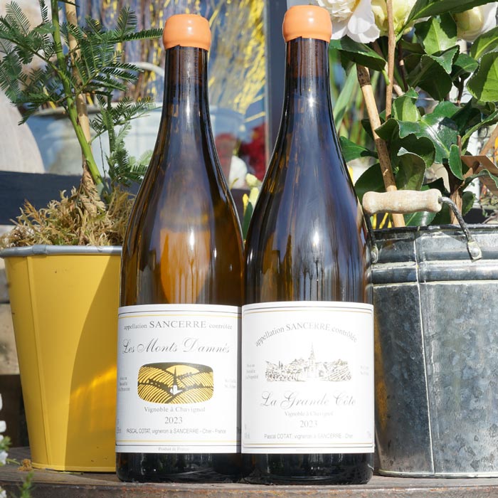 Sancerre La Grande Côte 2023 - Pascal Cotat