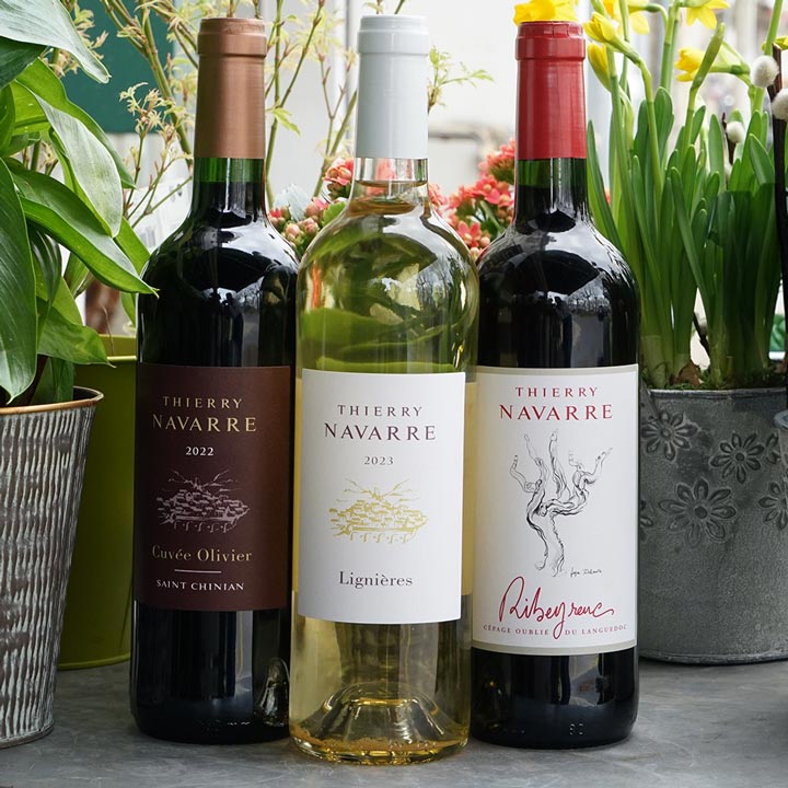 Ribeyrenc 2023 - Domaine Navarre