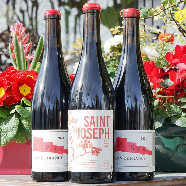 Pinot 2021 - François Dumas