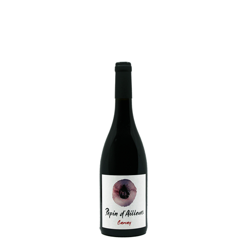 Vin de France Gamay "Pépin d'ailleurs" - 2021 (Kevin Bouillet)