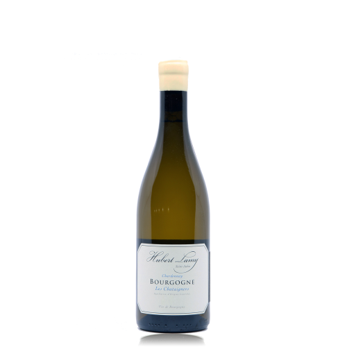 Bourgogne Blanc "Les Châtaigners" - 2020 (Hubert Lamy)