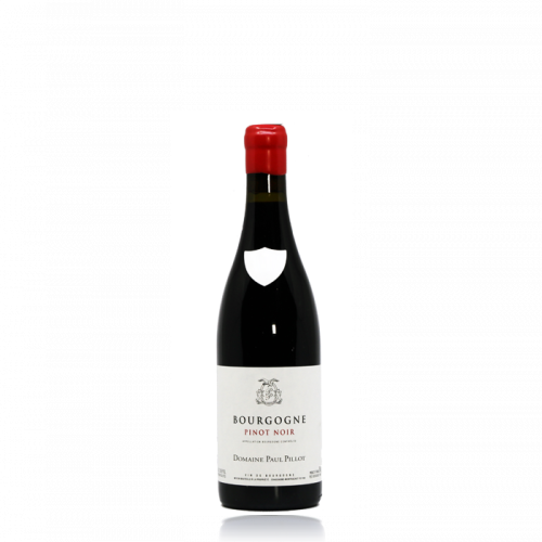 Bourgogne "Pinot Noir" - 2021 (Paul Pillot)
