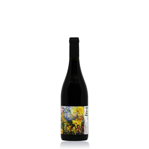 Vin de France Rouge "Cuvée Drain Drain" - 2020 (Domaine Derain)