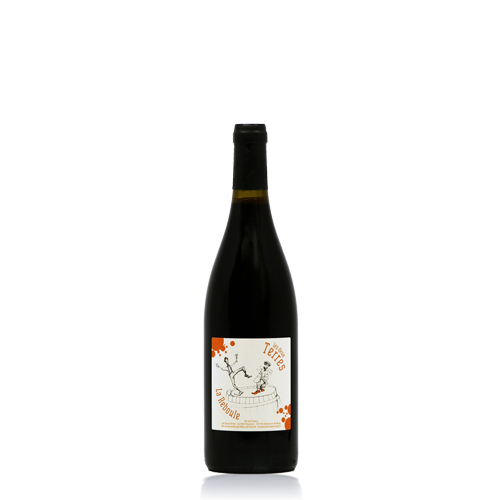 Vin de France "La Reboule" Rouge - 2021 (Domaine les Deux Terres)