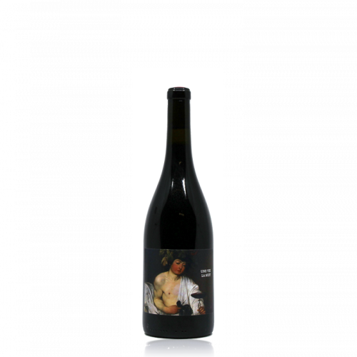 Vin de France "Une vie la nuit" - 2022 (Cyril Fhal - Hors Champ)
