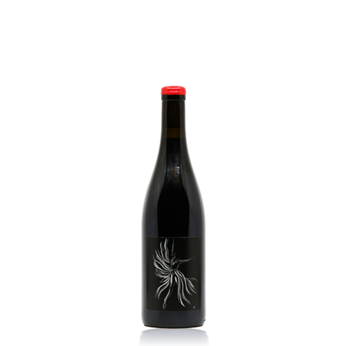 Vin de France "Madelon" - 2020 (Anne et Jean-François Ganevat)